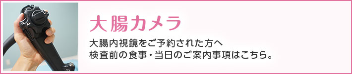 大腸カメラ